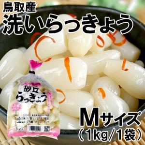 2026年6月】らっきょうのおすすめ人気ランキング - Yahoo!ショッピング