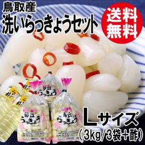 山形県飯豊町産 天然山菜 山うど塩蔵 1kg 数量限定 送料無料 山ウド