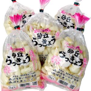鳥取産 洗いらっきょう M 5kg 送料無料の詳細画像2
