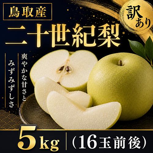訳あり 鳥取産 二十世紀梨 20世紀梨 5kg 16玉前後 送料無料 自宅用 家庭用 9月上旬以降の...
