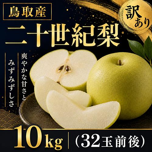訳あり 鳥取産 二十世紀梨 20世紀梨 10kg 32玉前後 送料無料 自宅用 家庭用 9月上旬以降...