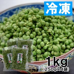 養父市特産 冷凍実山椒 500g 朝倉山椒 送料無料 あく抜き済 山椒 山椒