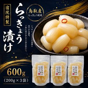 送料無料 宿院特製 らっきょう漬け 600g(200g×3袋) 鳥取産らっきょう使用