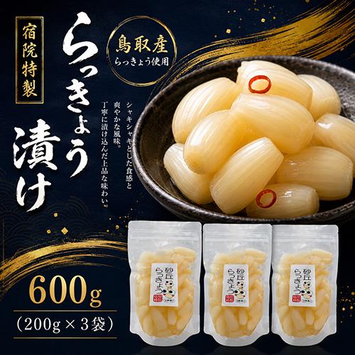 送料無料 宿院特製 らっきょう漬け 600g(200g×3袋) 鳥取産らっきょう使用