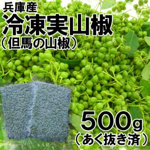 兵庫産 冷凍実山椒 500g 送料無料 あく抜き済 山椒 山椒の実 実山椒
