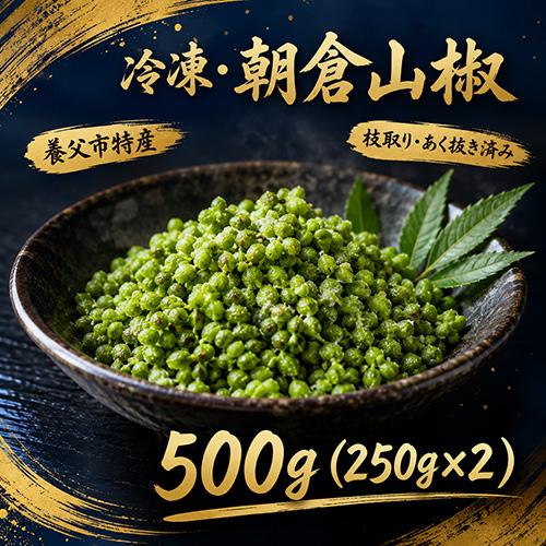 養父市特産 冷凍実山椒 500g 朝倉山椒 送料無料 あく抜き済 山椒 山椒の実 実山椒 さんしょ