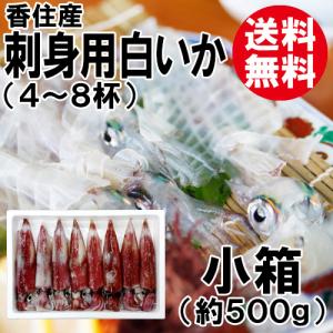 父の日 プレゼント お中元 香住産 刺身用 白いか 小箱