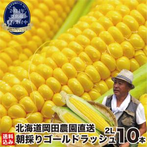 お中元 とうもろこし 北海道産 ゴールドラッシュ...の商品画像
