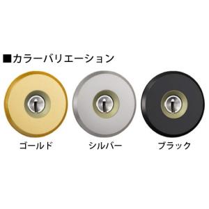 GOAL 三協アルミ 玄関ドア 鍵交換用シリンダー2個セット GOAL STK D9