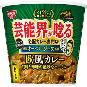 日清食品 オーベルジーヌ監修 欧風カレー 103g ×6個