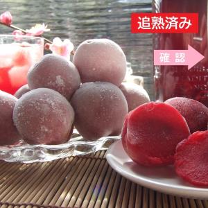 露茜(つゆあかね) 果実 B品(冷凍)500g 〜ツーギー谷〜 : shop