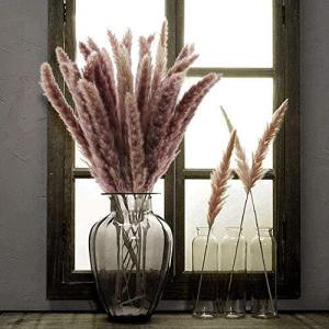パンパスグラス 花瓶 花台 の商品一覧 花 ガーデニング 通販 Yahoo ショッピング
