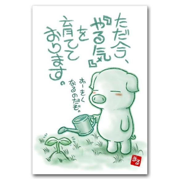 メッセージ入りポストカード きを育てています 元気になる絵葉書 和道楽