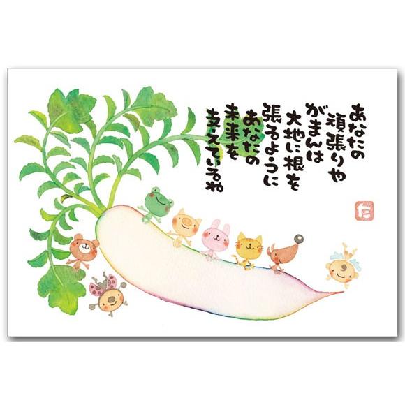 まえだたかゆきポストカード 大根 メッセージ絵葉書
