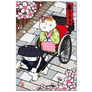 猫のイラストポストカード 春うらら 桜絵葉書｜shop-wadouraku