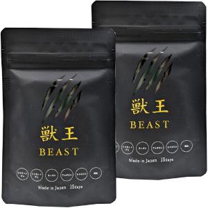 獣王beast 獣王 サプリ 獣王ビースト 15日分 45粒 亜鉛 メンズサプリ