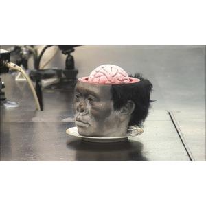 ダウンタウンのガキの使いやあらへんで!(祝)通...の詳細画像3