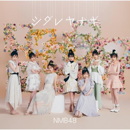 NMB48／シダレヤナギ【通常盤Type-A】(CD＋DVD)≪特典付≫