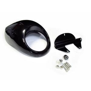 ハーレー　純正　XL1200NS ビキニカウル　スポーツスター ハーレー スポーツスター 純正 ビキニカウル XL1200CX XL1200X