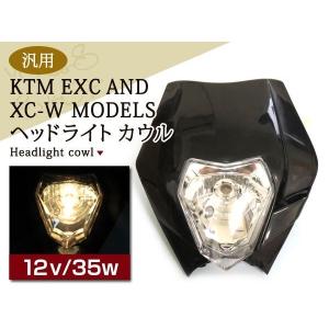 DトラッカーKLX250 アチェルビス ダイヤモンド風 ライト マスク