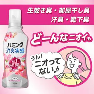 ハミング消臭実感 柔軟剤 つめこみ洗いも、部屋...の詳細画像2