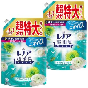 アリエール P&G ジェルボール プロ 部屋干し つめかえ用 メガジャンボ