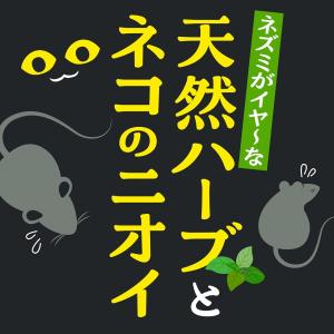 ネズミのみはり番 忌避ゲル ネズミ用忌避剤 3...の詳細画像3