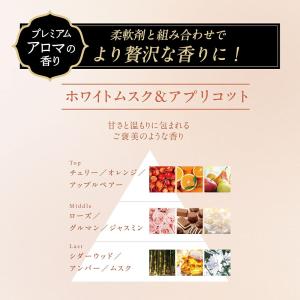 レノア オードリュクス 新モデル ternal...の詳細画像2