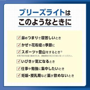 佐藤製薬 ブリーズライト エクストラ レギュラ...の詳細画像3