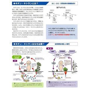 三愛キトサン 粒タイプ 2本セットの詳細画像2