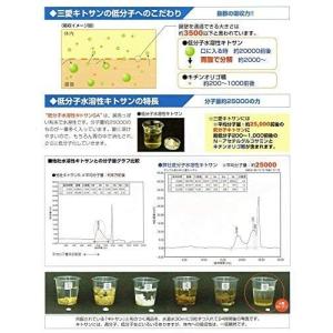 三愛キトサン 粒タイプ 2本セットの詳細画像4
