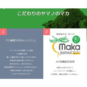 ふれあい生活館ヤマノ マカ-junsui-ダブ...の詳細画像4