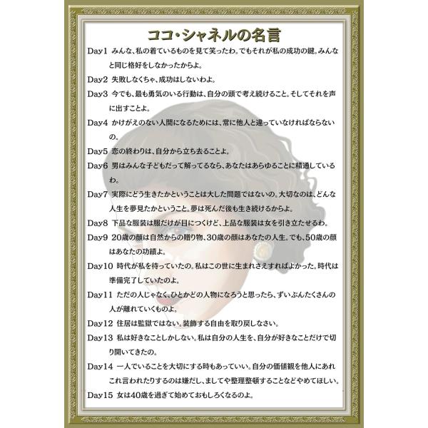 偉人の名言?格言下敷き 毎日の受験勉強の励みになる下敷き 受験?試験?テストで合格するためのマインド...