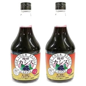 2本セット ジャフマック 醗酵カシス 565mlの商品画像