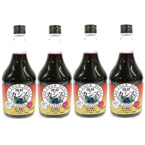 4本セット ジャフマック 醗酵カシス 565mlの商品画像