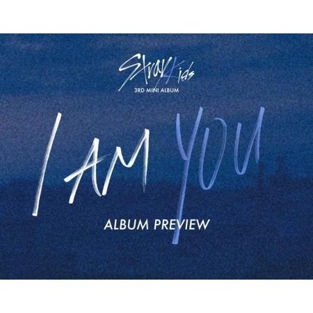 STRAY KIDS I AM YOU 3RD MINI ALBUM ストレイキッズ 3集 ミニ ア...