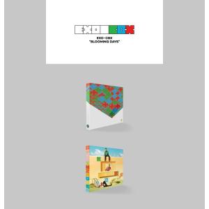 【和訳選択】EXO CBX BLOOMING ...の詳細画像1