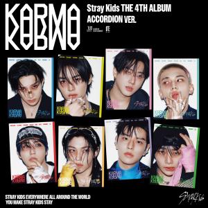 商品閲覧用ページ straykids Amazon.co.jp: KPOPBP ニューアルバム Maxident ギフトボックス