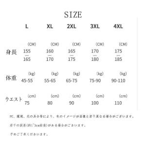 フィットネス 水着 上下セット メンズ 水着セ...の詳細画像5