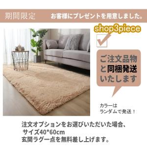 カーペット 洗える 四季 ラグ じゅうたん オ...の詳細画像1