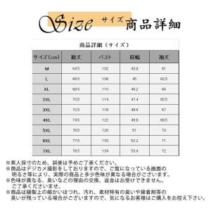 マウンテンパーカー メンズ ジャケット ウイン...の詳細画像5
