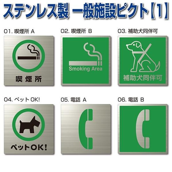 ピクトサイン『一般施設（全18種）』【デザイン選択】150mm×150mm ステンレスH.Lプレート...