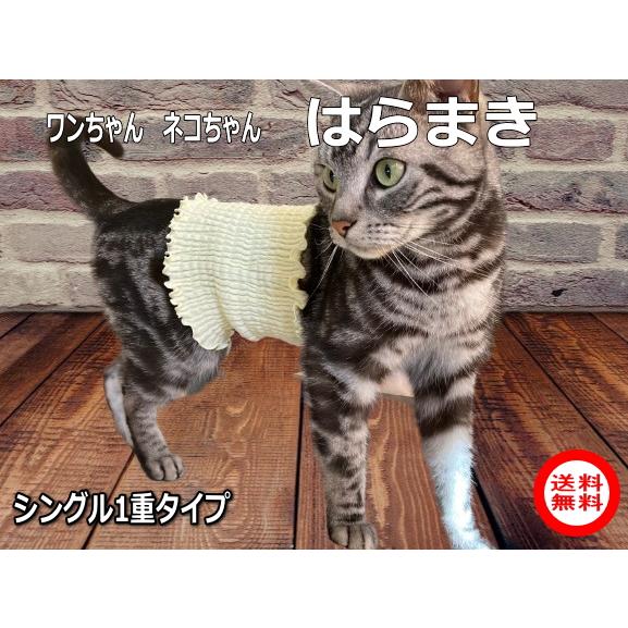 ワンちゃん・ネコちゃんの ペット腹巻 シングル1重タイプ 日本製