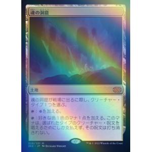 MTG 知りたがりの学徒、タミヨウ / 老練の学匠、タミヨウ Foil プレ