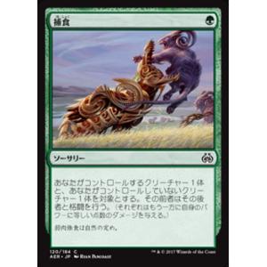 MTG ■緑/日本語版■ 《捕食/Prey Upon》★FOIL★ 霊気紛争 AER