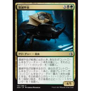 MTG □赤/日本語版□ 《憤怒の化身/Avatar of Fury》プロフェシー PCY