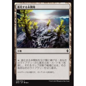MTG ■土地/日本語版■ 《進化する未開地/Evolving Wilds》戦乱のゼンディカー BF...