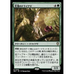 MTG ■緑/日本語版■(242)《若葉のドライアド/Tendershoot Dryad》ブルームバ...