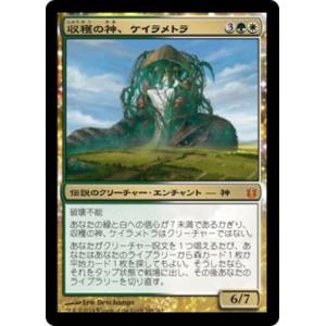 MTG □土地/ファイレクシア語版□ 《森/Forest》☆オイルスリックFOIL