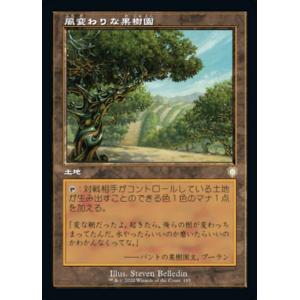 MTG ■土地/日本語版■ 《風変わりな果樹園/Exotic Orchard》兄弟戦争：統率者　BR...